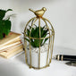 Nordic Gold Birdcage Ceramic Vase – Elegant Hydroponic Planter